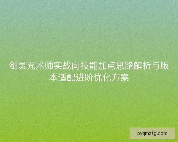 剑灵咒术师实战向技能加点思路解析与版本适配进阶优化方案