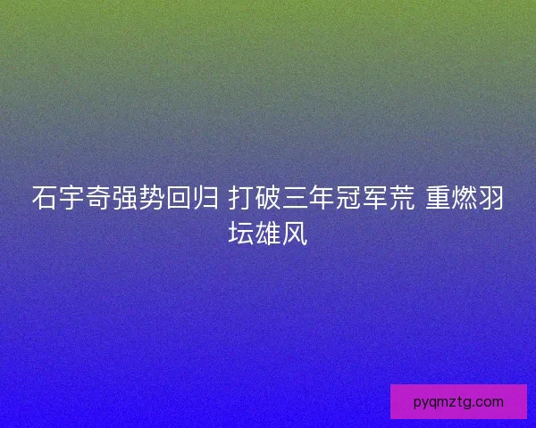 石宇奇强势回归 打破三年冠军荒 重燃羽坛雄风 石宇奇强势回归 打破三年冠军荒 重燃羽坛雄风