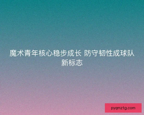 魔术青年核心稳步成长 防守韧性成球队新标志